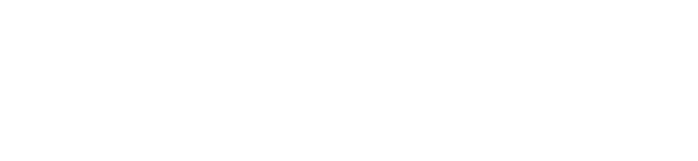 LESER — The-Safety-Valve.com